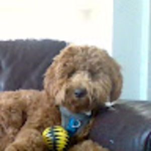 Meet your Posher, Agnieszka